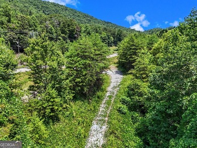 Exceptional opportunity to have 6+ acres in the Lake Burton area - photo 25