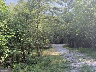 Exceptional opportunity to have 6+ acres in the Lake Burton area - photo 27