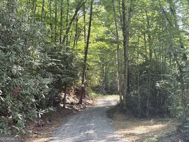 Exceptional opportunity to have 6+ acres in the Lake Burton area - photo 28