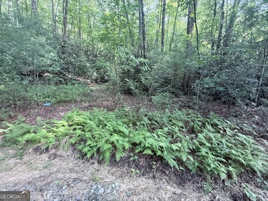 Exceptional opportunity to have 6+ acres in the Lake Burton area - photo 29