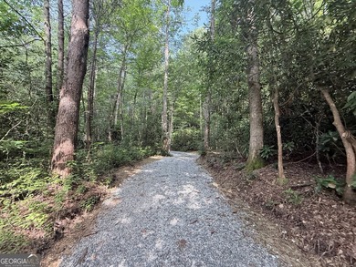 Exceptional opportunity to have 6+ acres in the Lake Burton area - photo 30