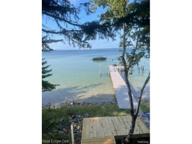 Lake Lot For Sale in Indian River, Michigan