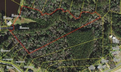 Lake Acreage Sale Pending in Havana, Florida