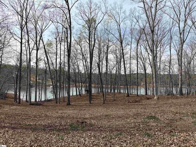 Lake Lot For Sale in Townville, South Carolina