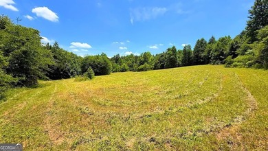 Step into nature with the potential to build a family compound - photo 1