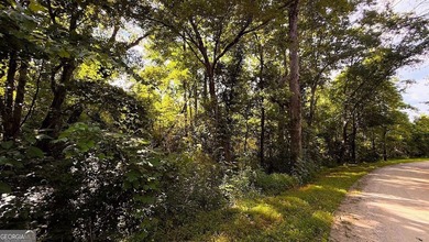 Step into nature with the potential to build a family compound - photo 5