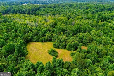 Step into nature with the potential to build a family compound - photo 7