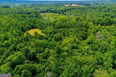 Step into nature with the potential to build a family compound - photo 8