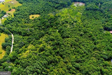Step into nature with the potential to build a family compound - photo 9