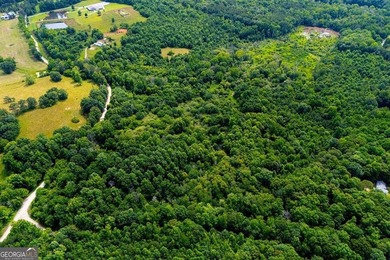 Step into nature with the potential to build a family compound - photo 10