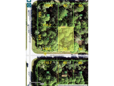Port Charlotte Waterway Area Lot For Sale in Port Charlotte Florida