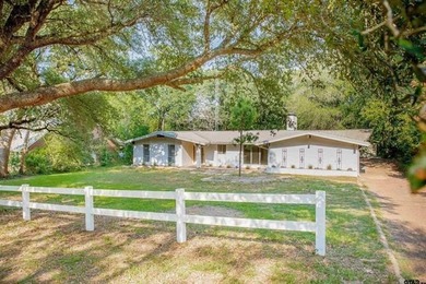 Beautiful mid-century modern home, a rare find in Hideaway! This - photo 3