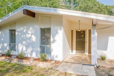 Beautiful mid-century modern home, a rare find in Hideaway! This - photo 4