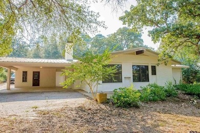 Beautiful mid-century modern home, a rare find in Hideaway! This - photo 6
