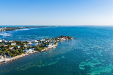 Private oceanfront estate behind the gates of Tingler Island - photo 14