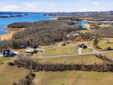 Lakefront Living with Privacy and Views on Cherokee Lake - photo 2