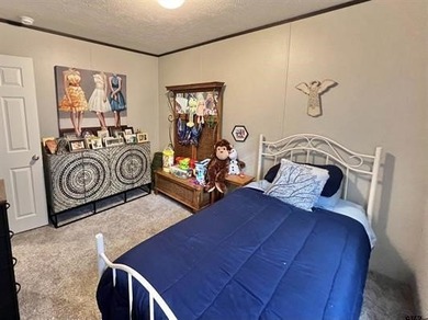 Welcome to a charming East Texas retreat offering easy living in - photo 28