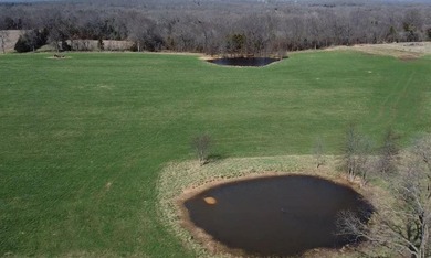 Turnkey Cattle Operation - 302.19 Acres of Prime Open - photo 37
