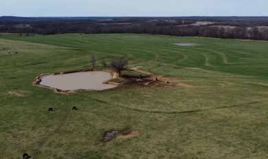 Turnkey Cattle Operation - 302.19 Acres of Prime Open - photo 39