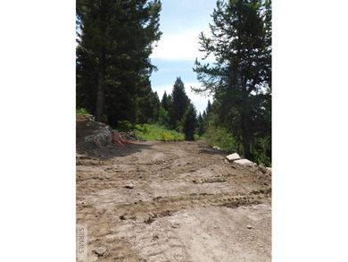 Views of Sawtelle Mountain, towering old-growth Douglas fir, and - photo 3