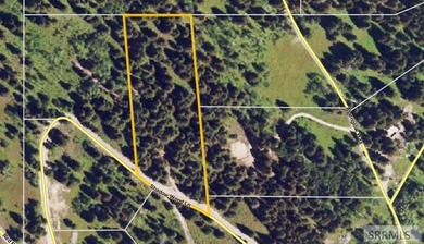 Views of Sawtelle Mountain, towering old-growth Douglas fir, and - photo 6