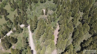 Views of Sawtelle Mountain, towering old-growth Douglas fir, and - photo 7