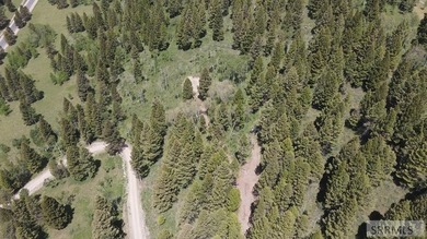 Views of Sawtelle Mountain, towering old-growth Douglas fir, and - photo 9