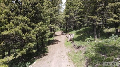 Views of Sawtelle Mountain, towering old-growth Douglas fir, and - photo 10