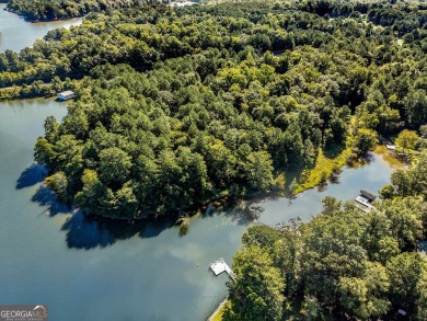 Lake Acreage For Sale in Greensboro, Georgia