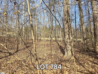 Lake Lot For Sale in Westminster, South Carolina