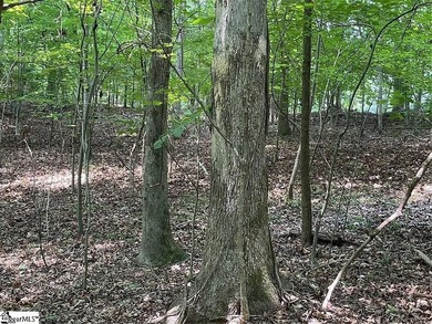 Build your dream home on Lot 784 S Hogan Drive in the exclusive - photo 7