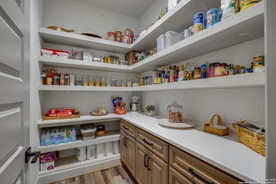 Discover this exceptional Hill Country luxury home situated on 5