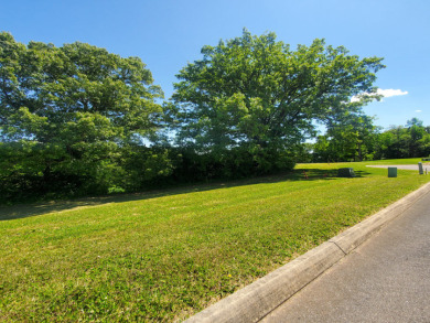 Lakefront Living with Privacy and Views on Cherokee Lake - photo 14