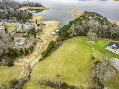 Lakefront Living with Privacy and Views on Cherokee Lake - photo 6