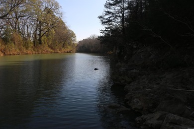 If you are looking for the one...this is it. 103+/- acre tract