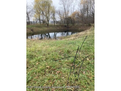 Lake Acreage For Sale in Ovid, Michigan