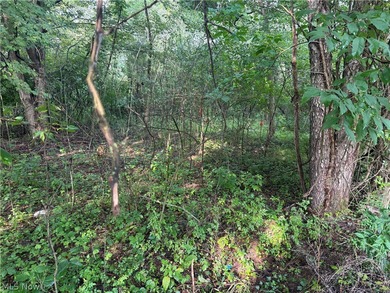 Lake Mohawk Lot Sale Pending in Malvern Ohio