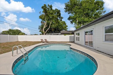 Charming Pool Home in the Heart of Pinellas Point Discover the - photo 31