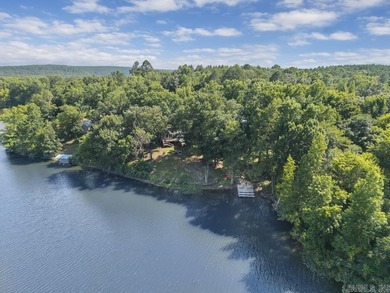 Enjoy lakefront living at its finest on beautiful Harris Brake - photo 34