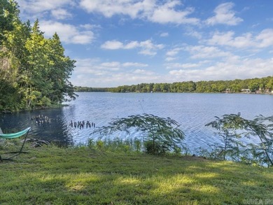 Enjoy lakefront living at its finest on beautiful Harris Brake - photo 35