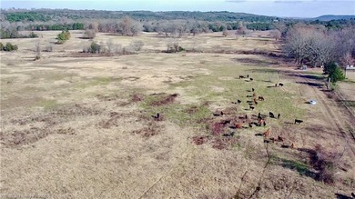 (private lake, pond, creek) Acreage For Sale in Ozark Arkansas