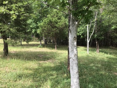 5.59 acres of beauty! Great building lot in Greenfields Estates - photo 13
