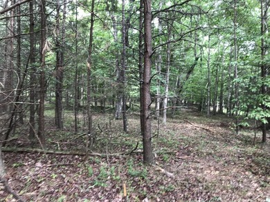 5.59 acres of beauty! Great building lot in Greenfields Estates - photo 17