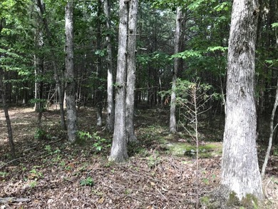 5.59 acres of beauty! Great building lot in Greenfields Estates - photo 22
