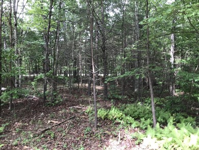 5.59 acres of beauty! Great building lot in Greenfields Estates - photo 23