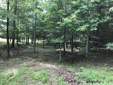 5.59 acres of beauty! Great building lot in Greenfields Estates - photo 25