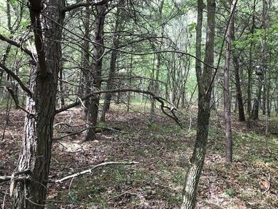 5.59 acres of beauty! Great building lot in Greenfields Estates - photo 29