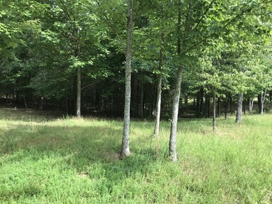 5.59 acres of beauty! Great building lot in Greenfields Estates - photo 33