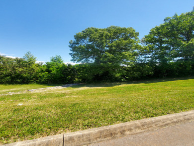 Lakefront Living with Privacy and Views on Cherokee Lake - photo 13