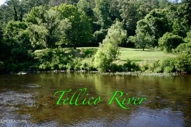 (private lake, pond, creek) Lot For Sale in Tellico Plains Tennessee